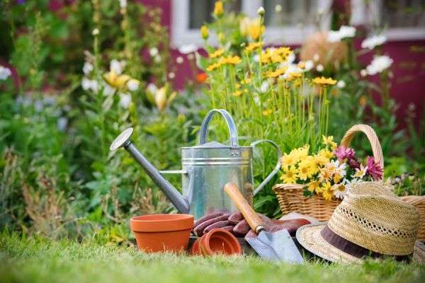 5 cosas imprescindibles para el jardín