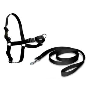 ARNÉS + CORREA, EASY WALK, NEGRO, T- GRANDE, 66 - 91 cm