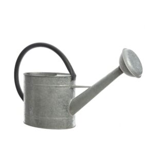 REGADERA DE ZINC 5 L